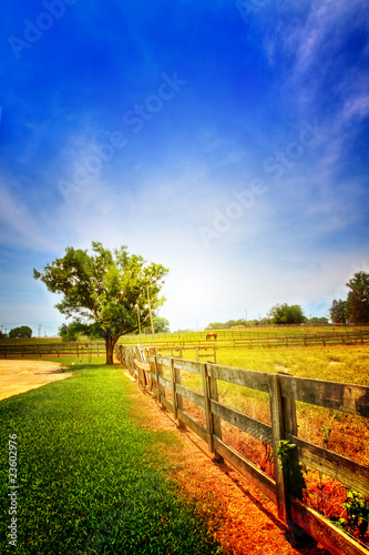 Country Scenery