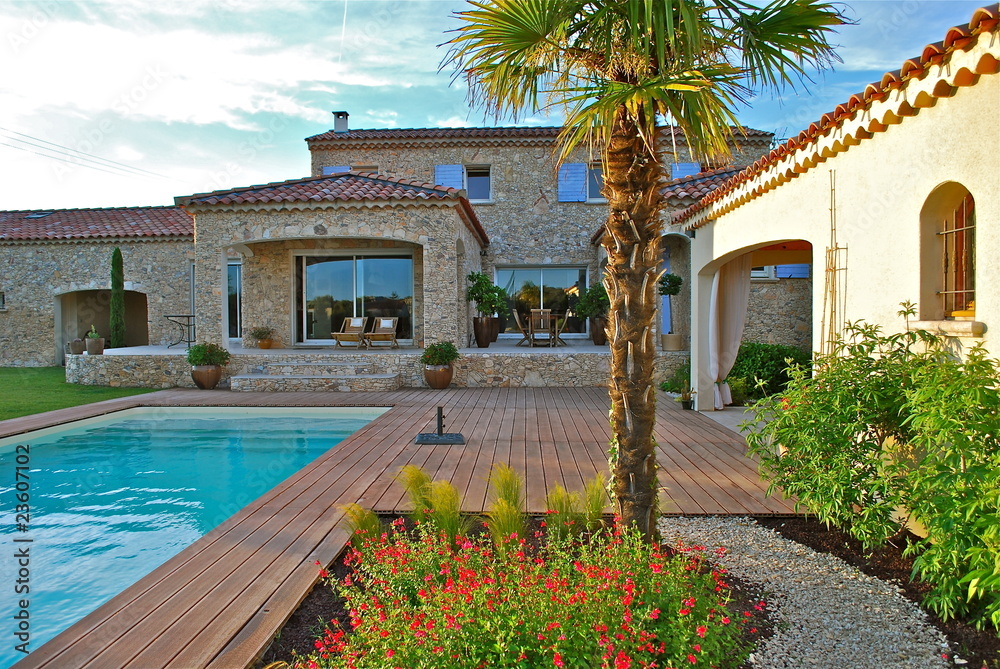 Fototapeta premium palmier2