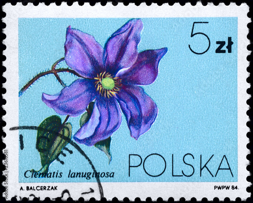 POLAND - CIRCA 1984 Clematis lanuginosa photo