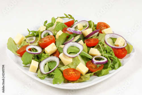 Fresh mixed salad with cheese