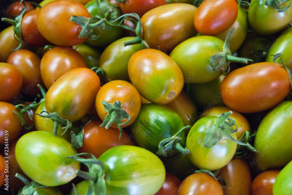 pomodori pomodori