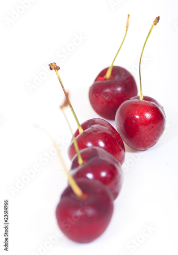 Red cherry on white background