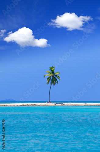 Fototapeta Naklejka Na Ścianę i Meble -  Lonely palm tree in the middle of ocean on background of sky