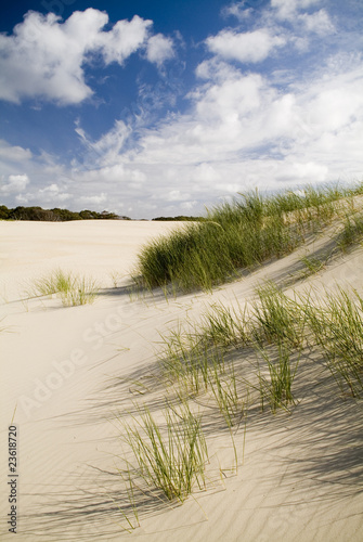 Fototapeta Naklejka Na Ścianę i Meble -  Coastal Sand Dunes