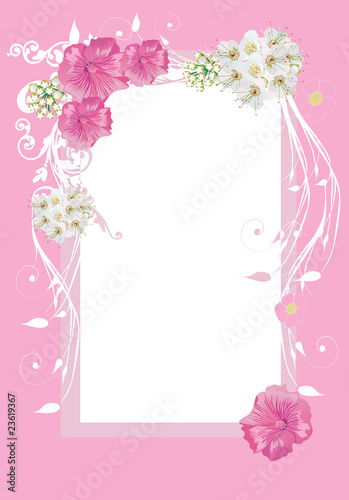 frame with white and pink flowers