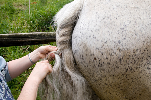 Plaiting.