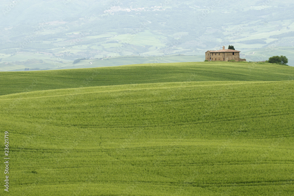 Obraz premium Paesaggio toscano