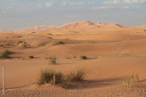 Wüstenlandschaft im Erg Chebbi - Marokko