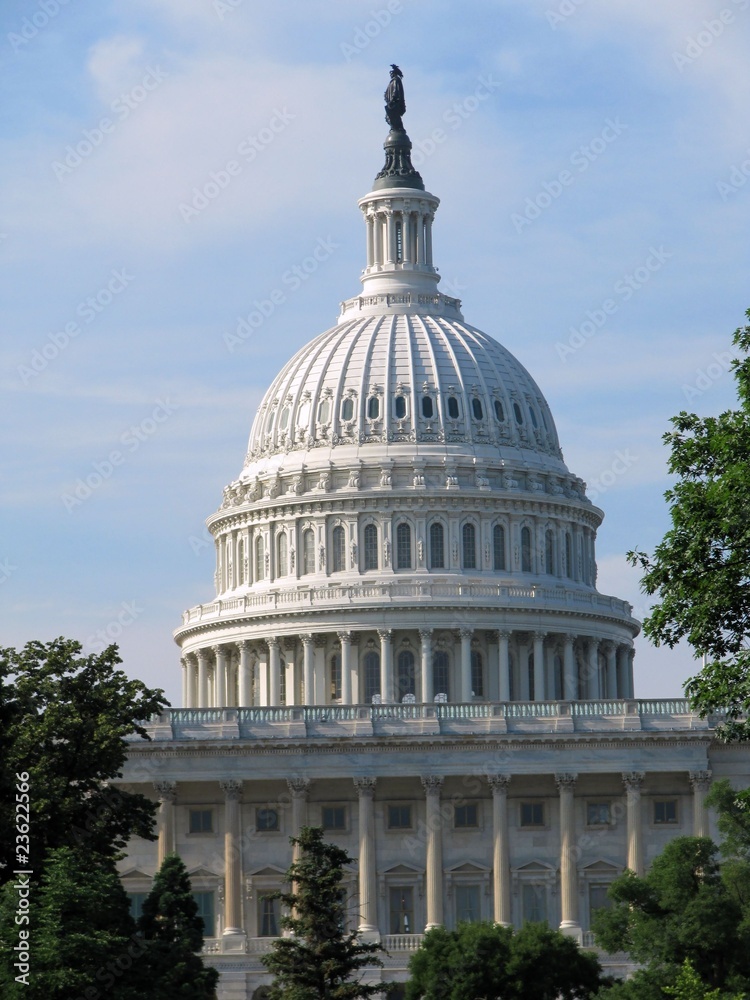 Fototapeta premium Washington