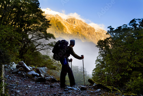 Konstfotografi A hiker pauses for a rest at a clearing while hiking on the Milford Track in New