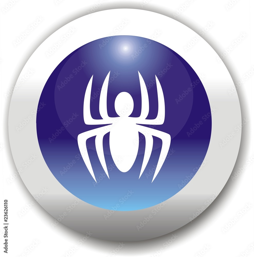 Obraz premium bouton araignée