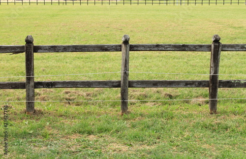 Horses wooden fence