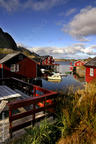 norvegia photo