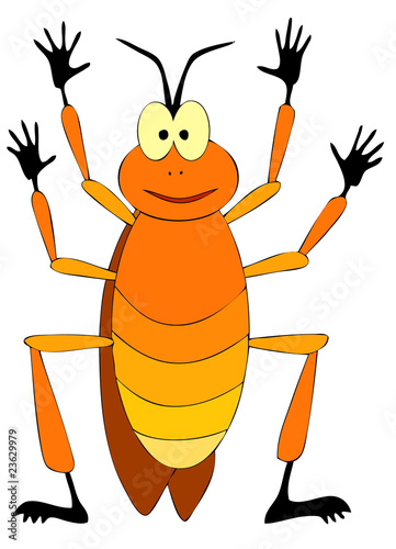 cockroach