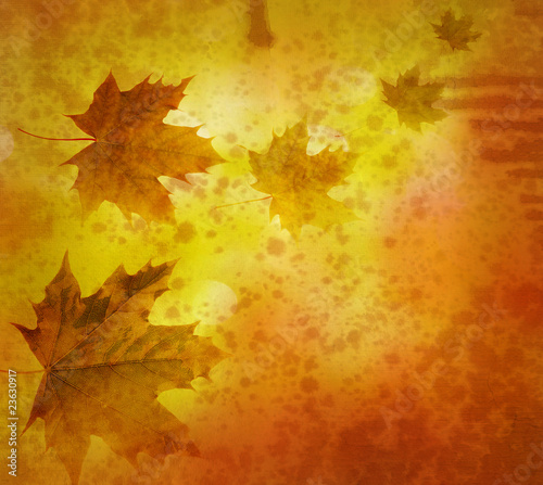 vintage background with maple leaves
