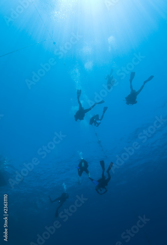 Scuba divers descending into the blue.