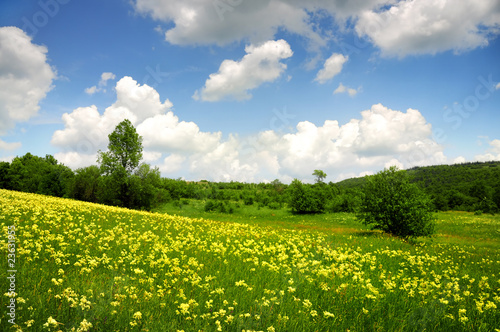 Green field with yellow and white clouds