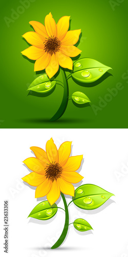 Fototapeta Naklejka Na Ścianę i Meble -  Sunflower