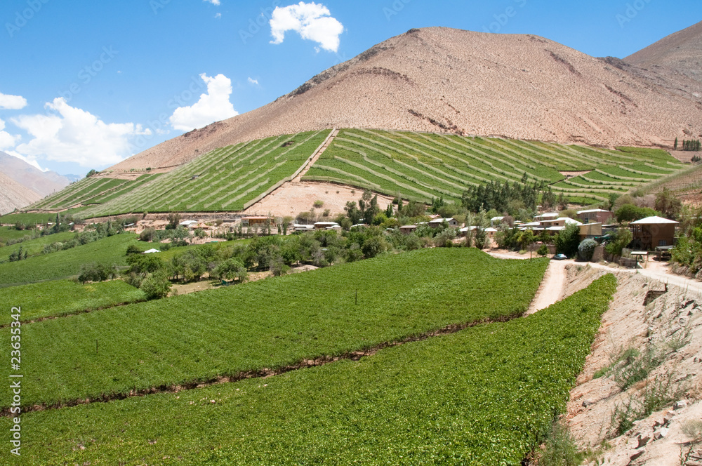 Elqui valley