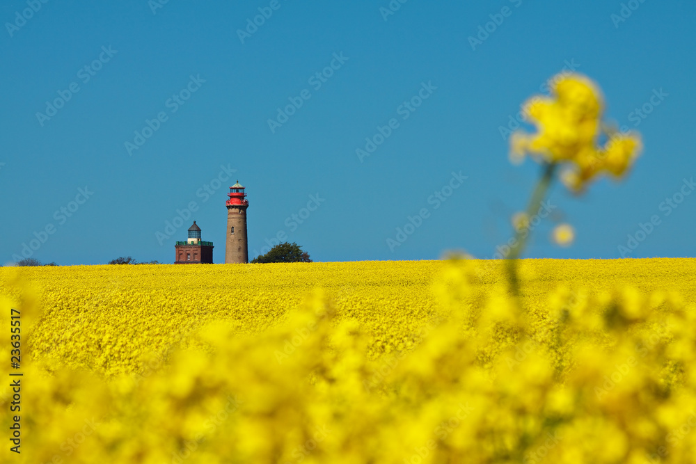 Obraz premium Raps und Leuchtürme von Kap Arkona