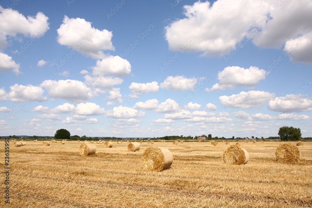 Hay bales on a field with blue sky and white clouds over it