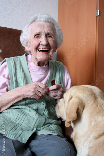 therapiehund bei alter dame