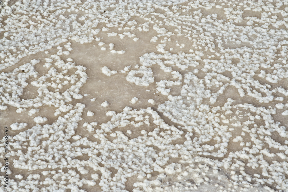 beautiful salt structure on stone at the coast line beautiful salt structure on stone at the coast line