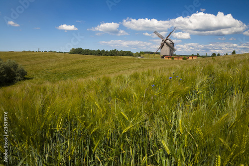 Windmühle im Getreidefeld