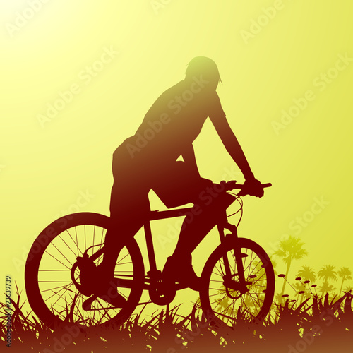 bicycle with nature scene
