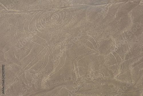 Monkey figure, Nazca lines in Peruvian desert photo