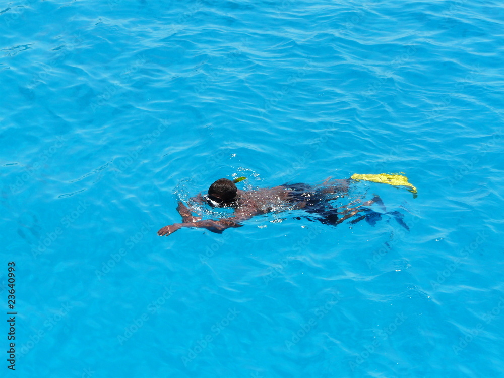 Fototapeta premium plongeur en palmes masque tuba