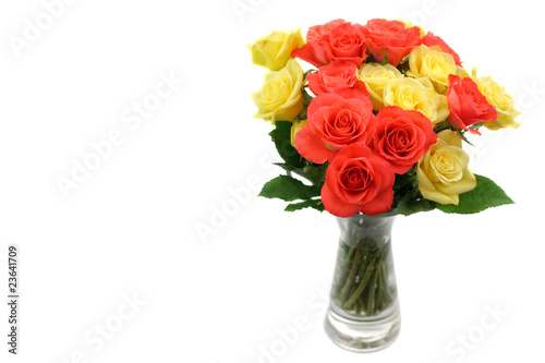Roses in a vase isolated