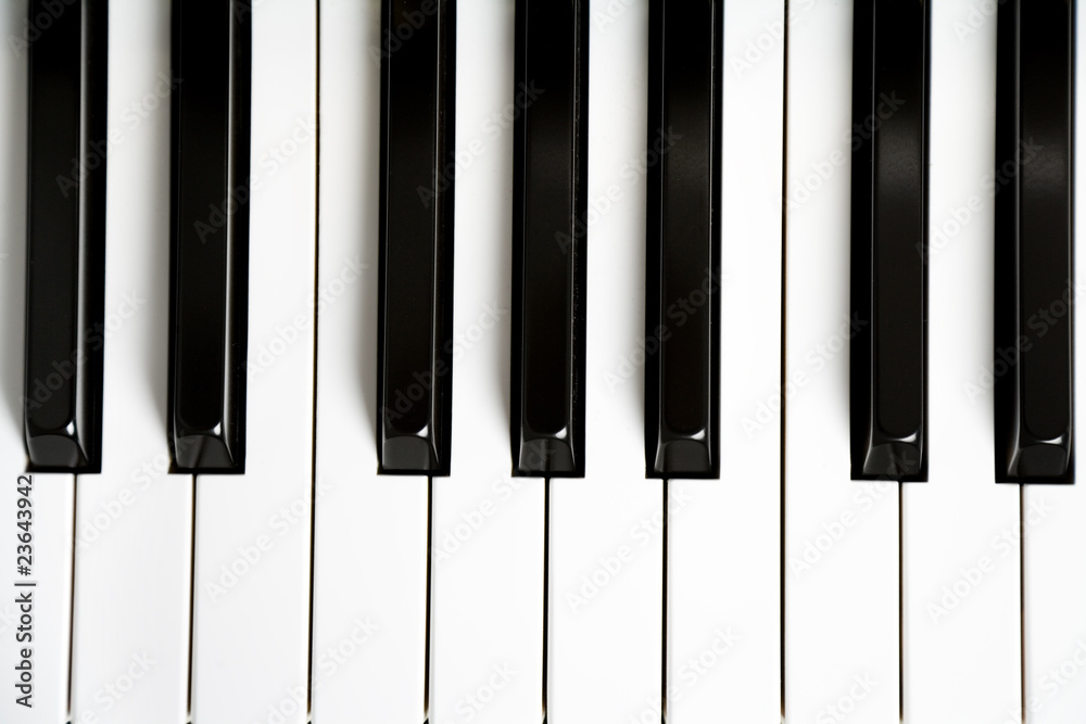 Piano Key Piano Key