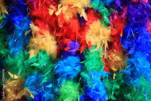 Rainbow Feathers