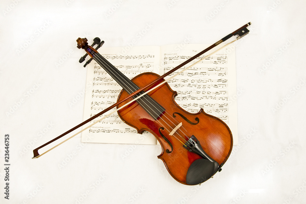 Fototapeta premium Geige