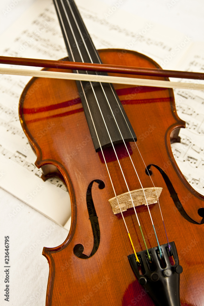 Fototapeta premium Geige