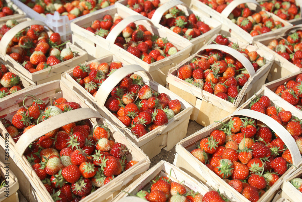 strawberries in baskets