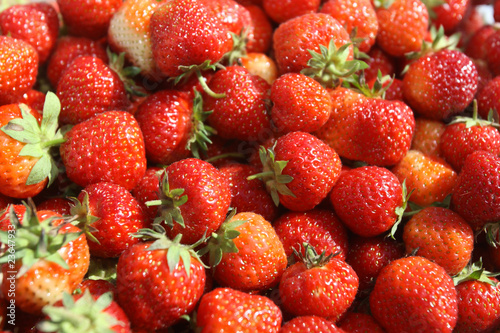 Obraz na płótnie strawberry w salonie
