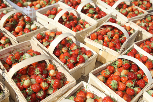 Obraz na płótnie strawberries in baskets w salonie