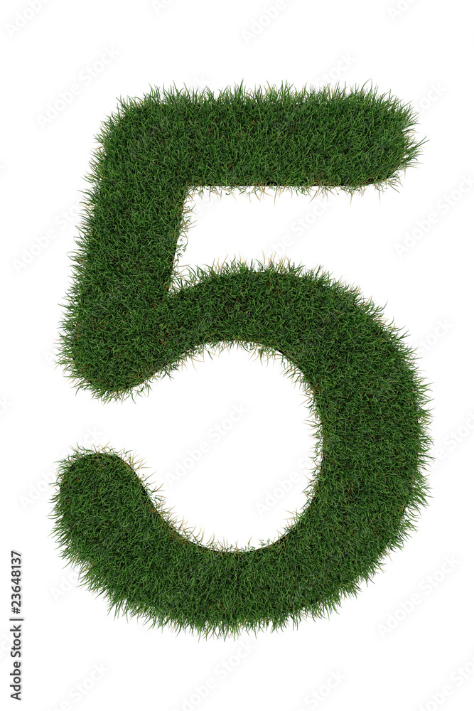 5 grass number 5 grass number