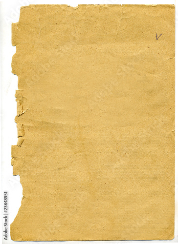 texture of the old paper