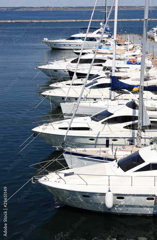 Fototapeta premium yachts at berth