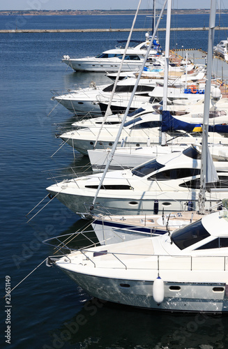yachts at berth
