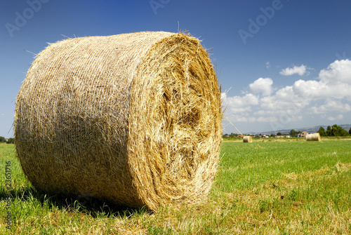 Campagne,balla di fieno photo