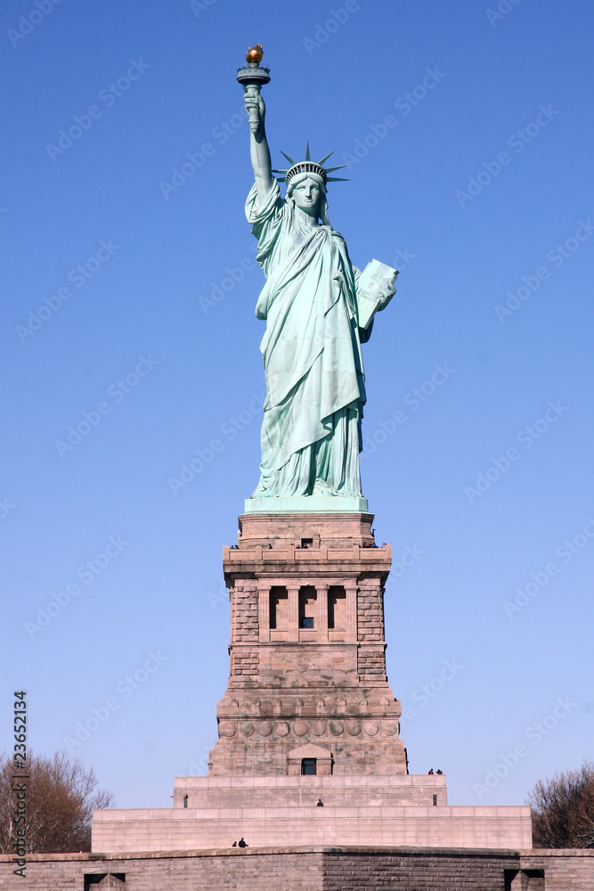 Obraz premium Miss Liberty