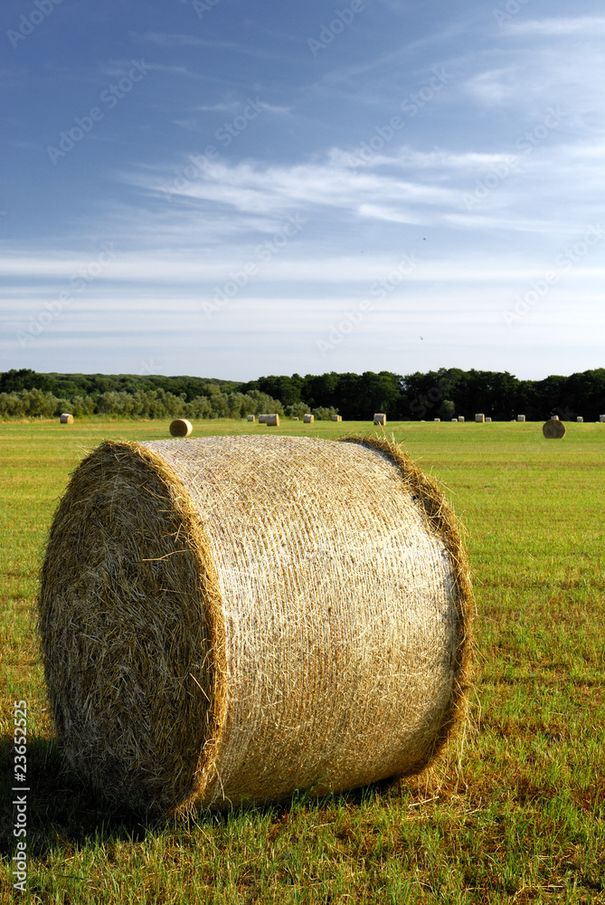 Campagne,balla di fieno