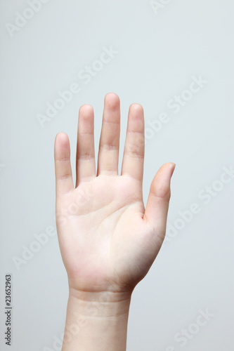 Woman hand  palm  isolated