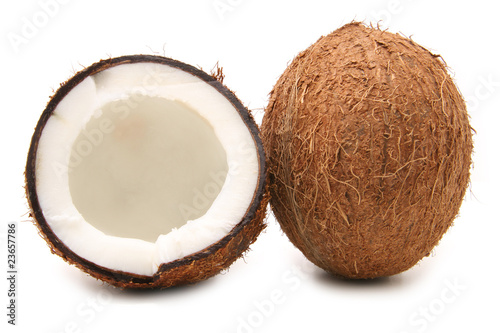 coconut 3_0561