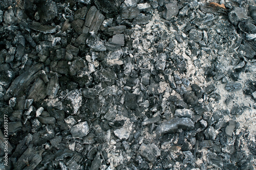 Wallpaper Mural Coals in an extinct fire Torontodigital.ca
