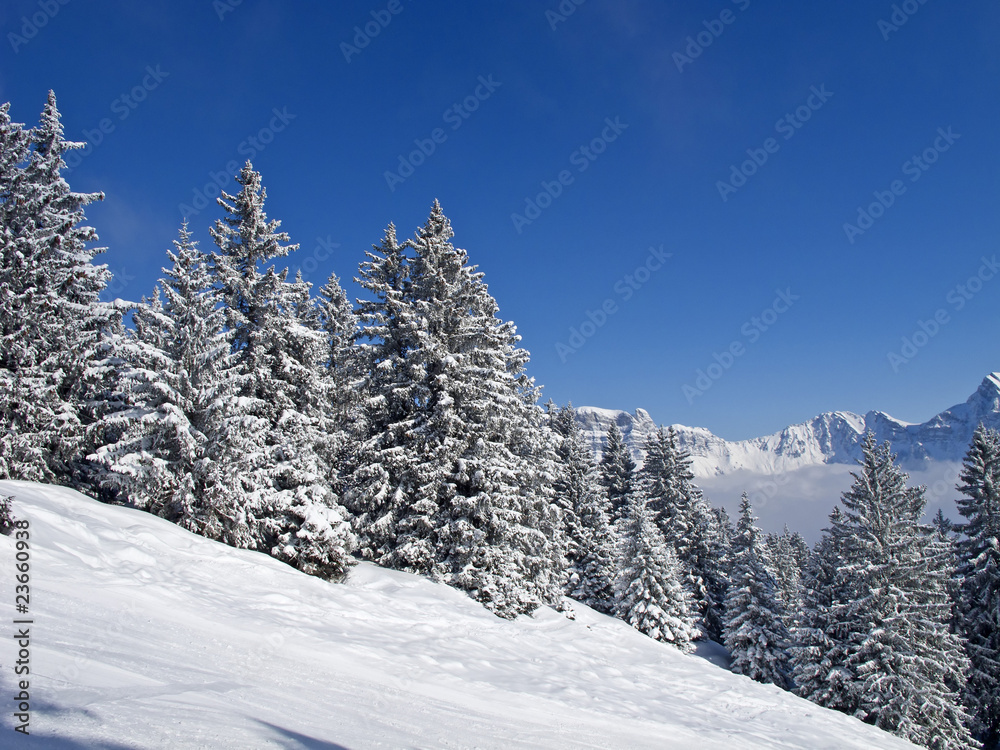 Naklejka premium Winter in the alps